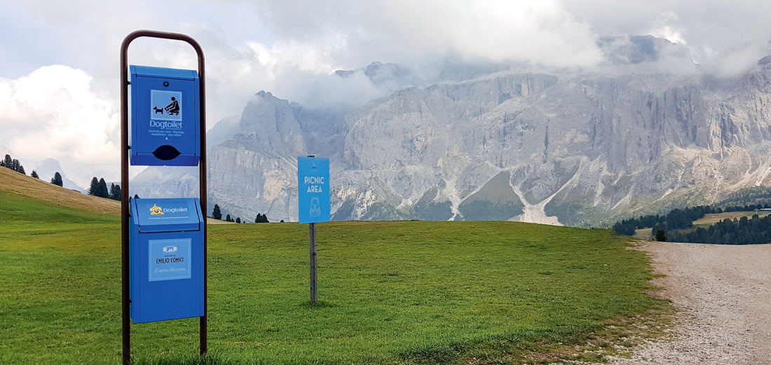 Pericoli nascosti nei parchi giochi: i rischi per i bambini
